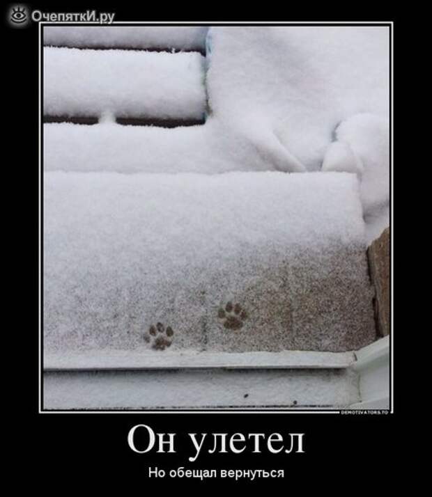 Дружба решает всё! 19
