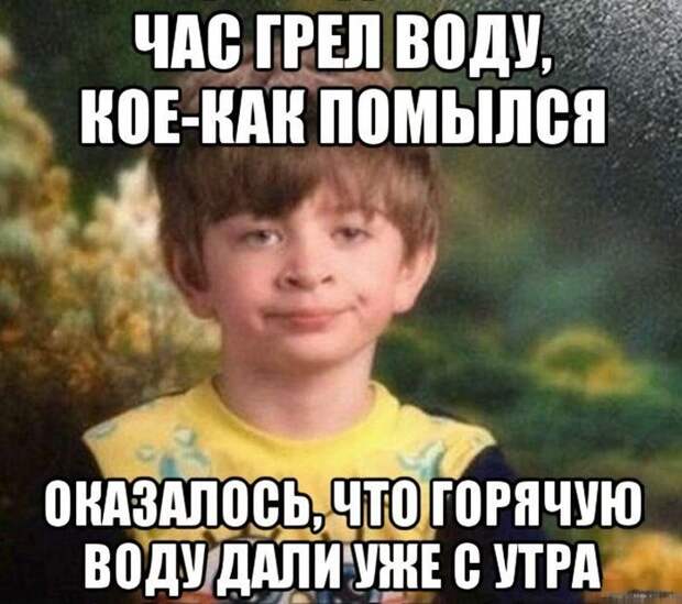 Смешные картинки с подписями  картинки, прикол, юмор