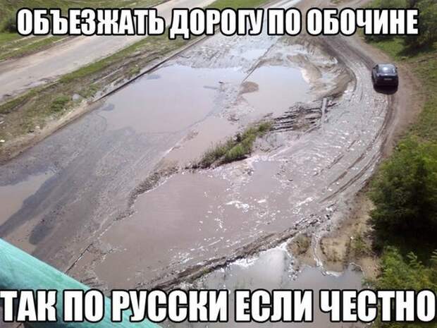 Смешные картинки с подписями катинки, прикол, юмор