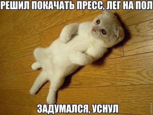 Смешные картинки с подписями картинки, прикол, юмор