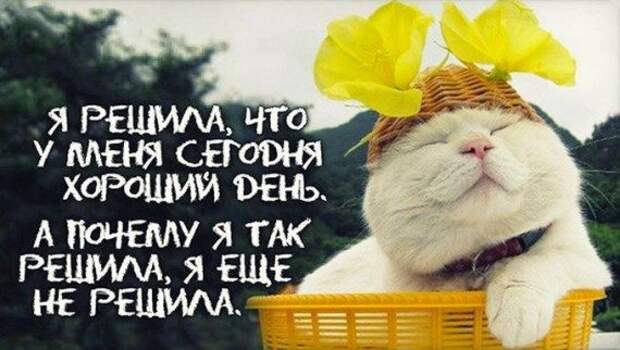 Аткрыточки