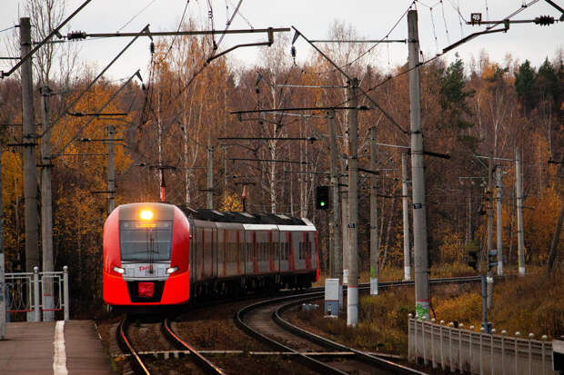 СОГАЗ информирует пассажиров поезда Мурманск-Санкт-Петербург о порядке приема заявлений