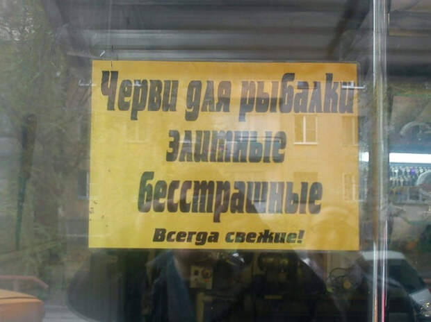 Незабываемые объявления и надписи