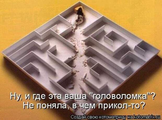 Котоматрица 18