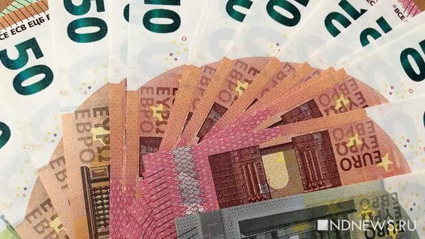 ЦБ РФ остановил торги евро на Мосбирже