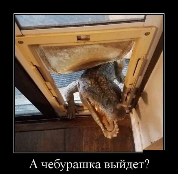 Смешные и умные демотиваторы. 518 ( 30 фото )