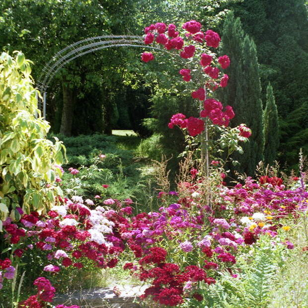 4497432_rosesingardenarchway6 (600x600, 205Kb)