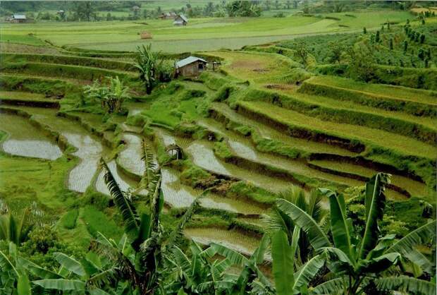 reasons-to-go-indonesia-wcth04