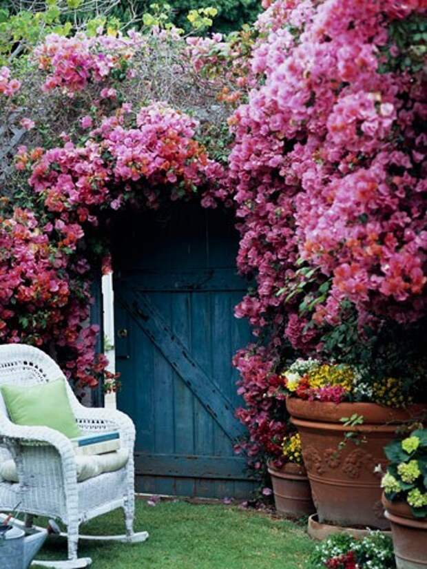 4497432_rosesingardenfence6 (360x480, 82Kb)