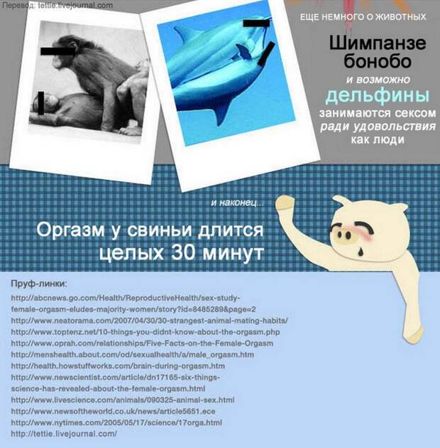 оргазм