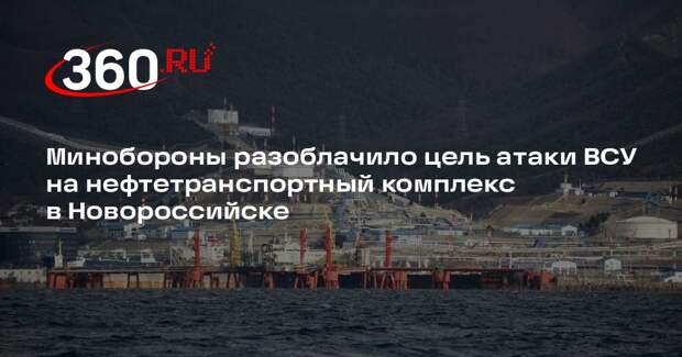 Минобороны: ВСУ атаковали нефтекомплекс в Новороссийске для дестабилизации рынка