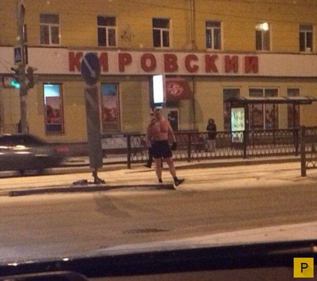 Новая подборка прикольных фотографий