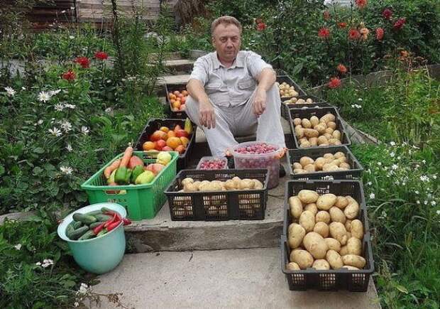 подкормки для огорода Игорь Лядов: Органическое земледелие, пермакультура