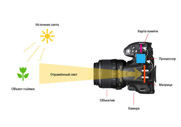 Как устроен фотоаппарат? Какие бывают фотоаппараты?