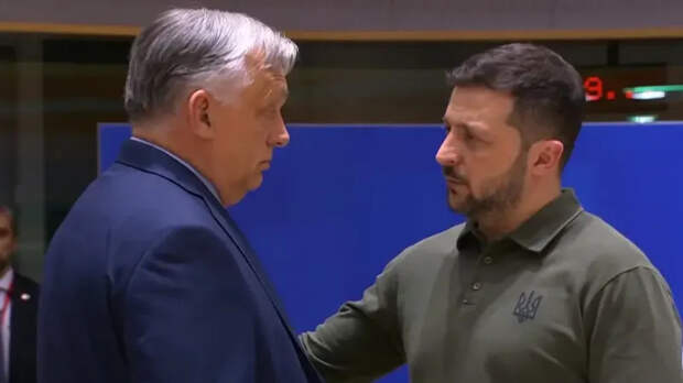 Орбан смог, а Зеленский – нет!: в Киеве призвали не радоваться победе Мадьяра