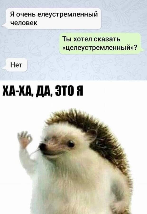 Комментарии и картинки из соцсетей