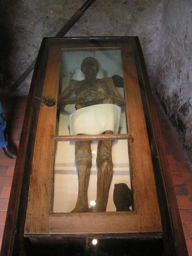 гроб фон Кальбуца в церкви история, мумии, наука, скелеты