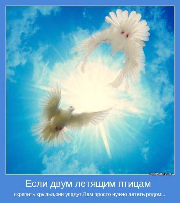 Сборник мотиваторов
