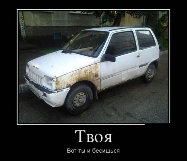 demotivatory_na_vtornik_30_foto_10.jpg