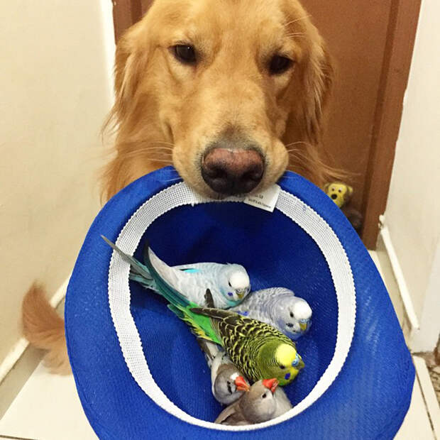 instagram.com