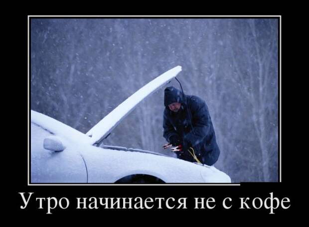 Демотиваторы бревно, демотиваторы, юмор