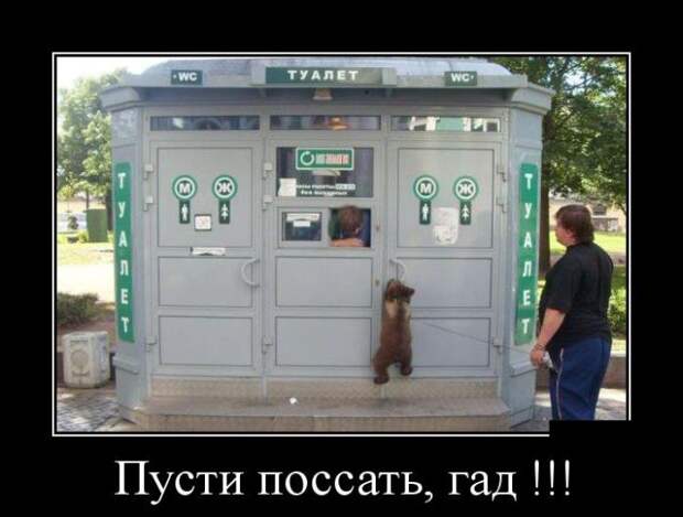 Демотиваторы бревно, демотиваторы, юмор