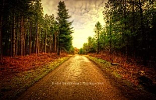 ФОТОГРАФ MIKE SHAW 22