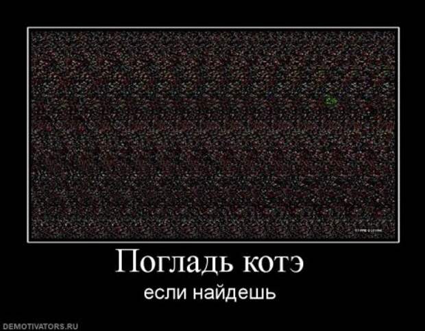 Демотиваторы про котэ, почти как котоматрицы!