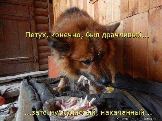 600x720-d55531d791ae742be7b250f6050d7201_103348 (600x449, 148Kb)