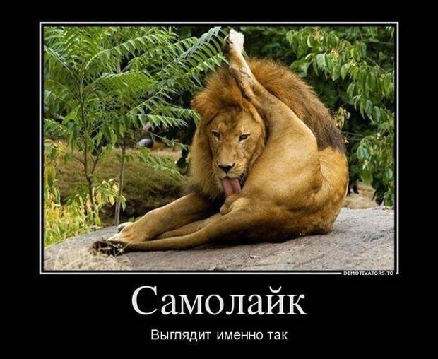 Самые смешные комиксы года Самые смешные комиксы года