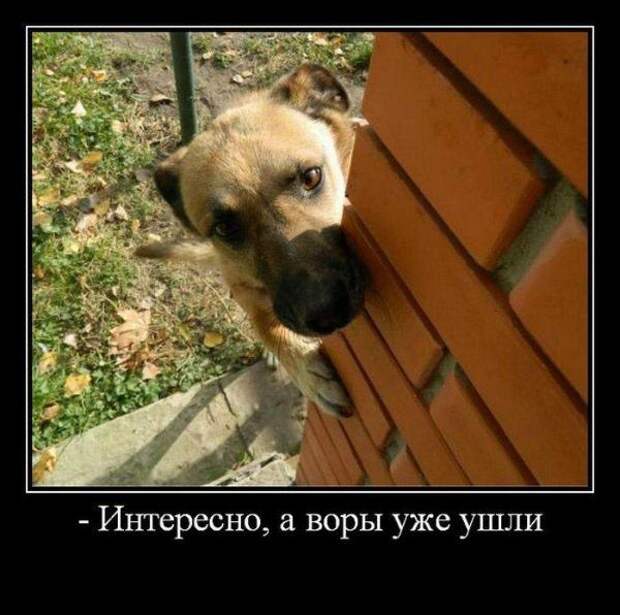 Всех с пятницей !!!! Ура Всех с пятницей !!!! Ура