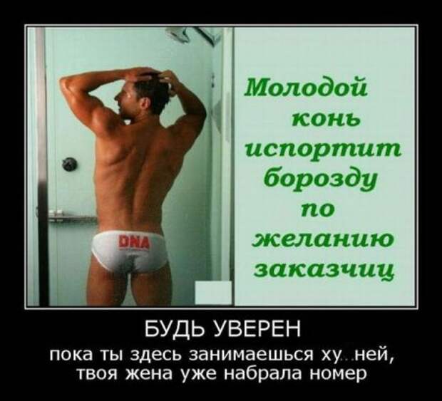 Димотиваторы прикол