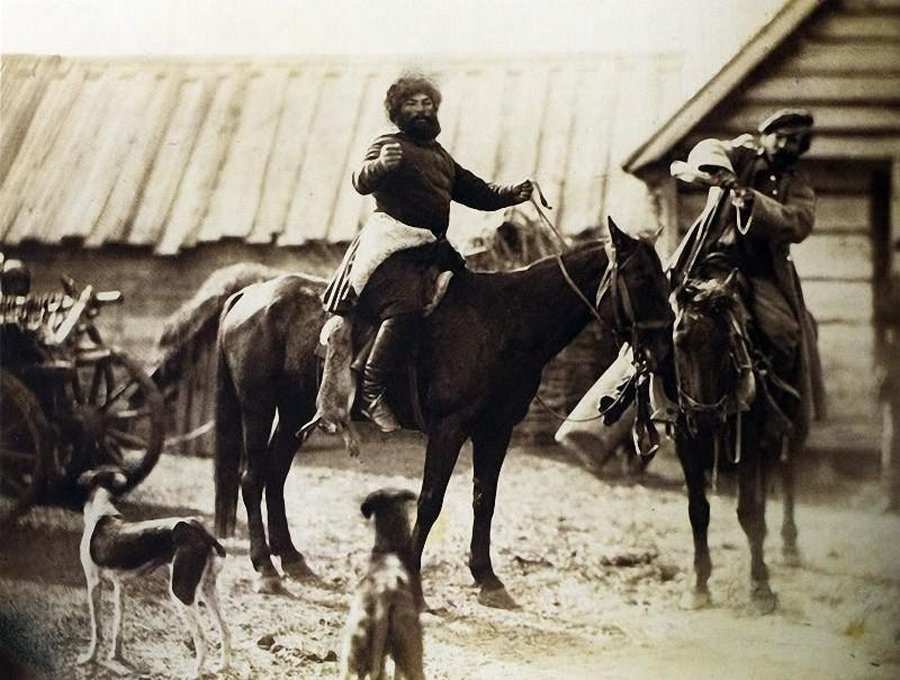 казаки