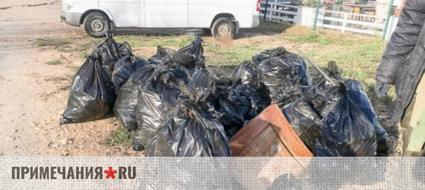 Команда Развожаева требует от «Севсвалок» оплатить вывоз мусора с субботников