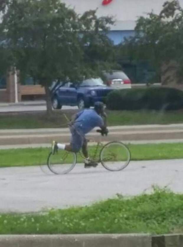 Прикольные картинки (102 фото)