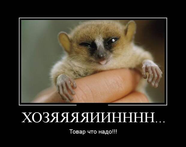 27 демотиваторов дня от 26-02-2015
