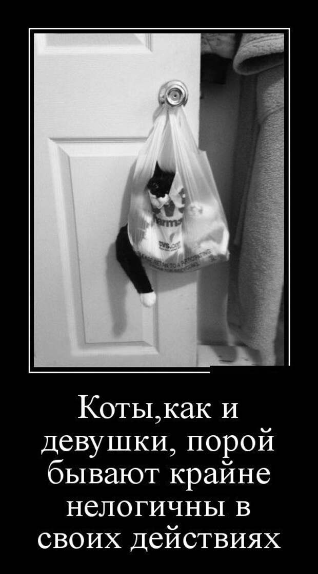 Демотиваторы демотиваторы, прикол, юмор