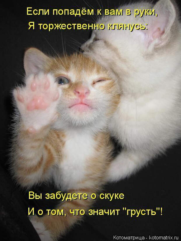 15 (524x700, 299Kb)