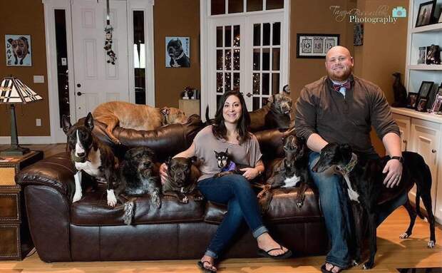 Meet Gentleman Jack, An Abandoned Senior Dog Who Now Has The Best Rescue Family Ever