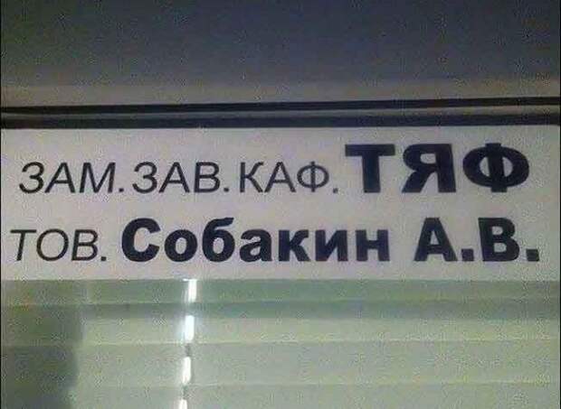 Говорящие фамилии фамилии, юмор