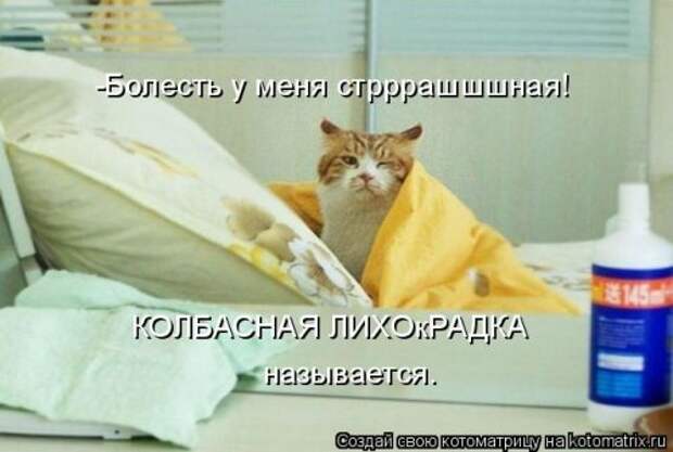 Свежая котоматрица (37 фото)