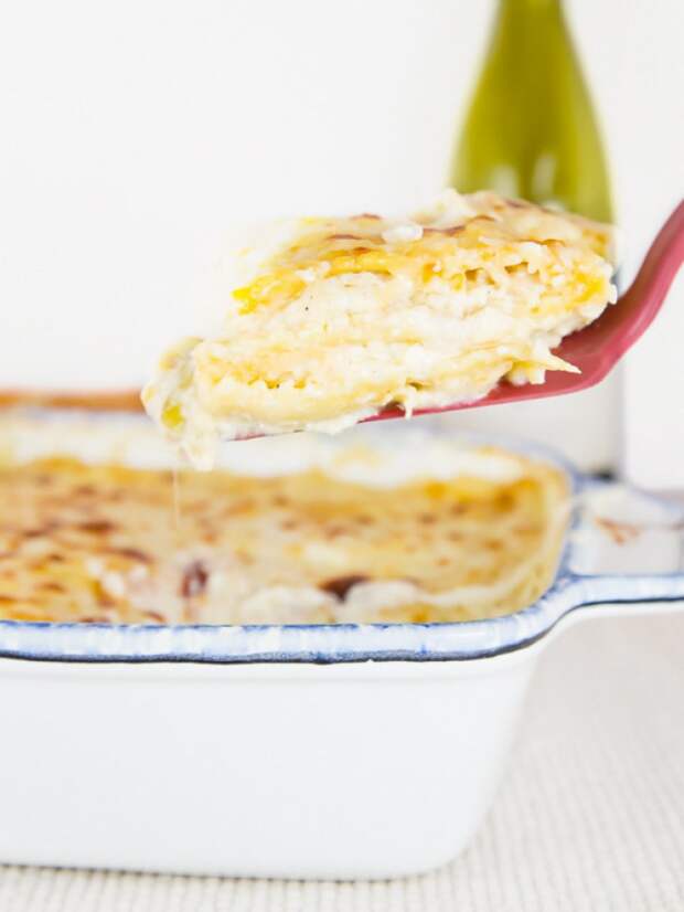 20 видов лазаньи которые изменят вашу жизнь