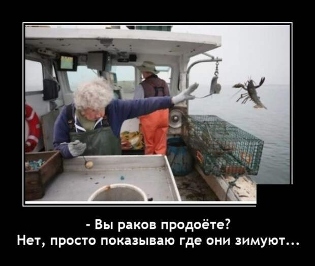 Демотиваторы 23 августа 2021 года