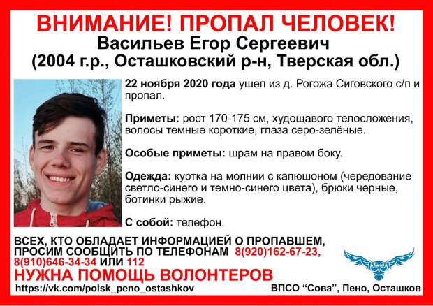 Волонтеры ВПСО "Сова" организуют поиски Егора Васильева из Осташкова