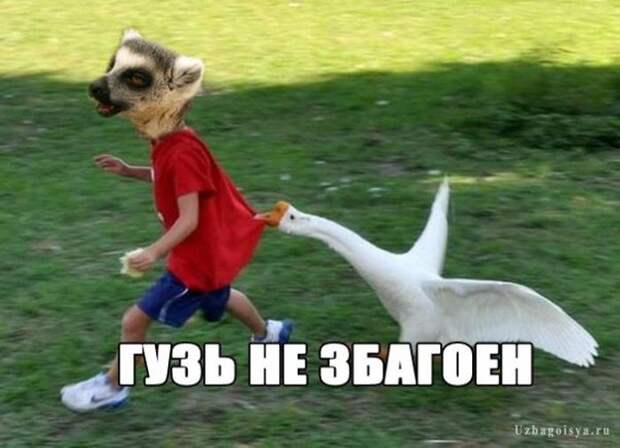 Смешные картинки картинки, прикол, юмор