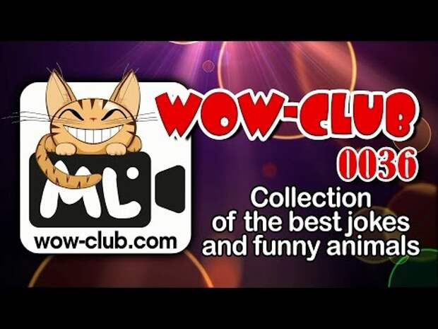 Сборник приколов WOW-club #0036. Collection of the best jokes and funny animals