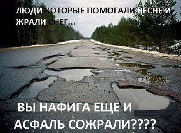 Смешные картинки с надписями прикол, юмор