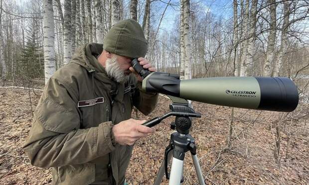 В заказниках Архангельской области начались весенние учеты перелетных птиц