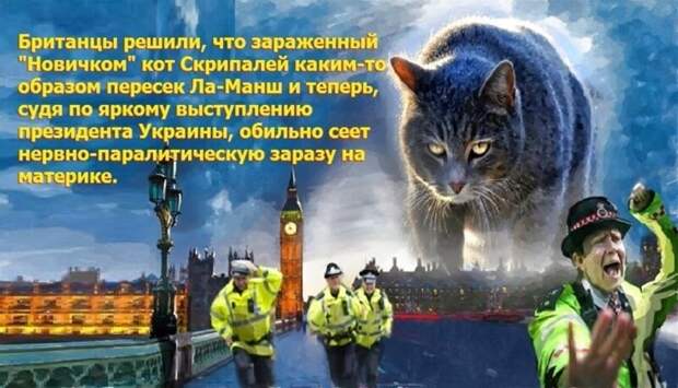 Политические комментарии из инета