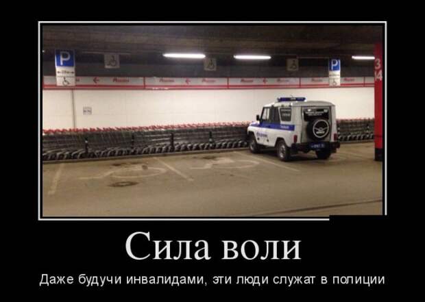 Демотиваторы (30 фото)